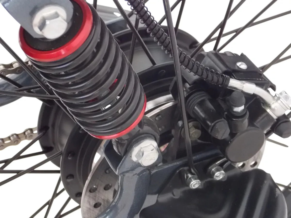 Cargo Rodado 24 - Imagen 6