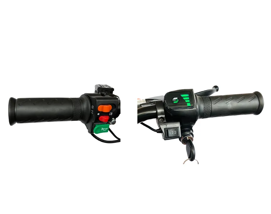 Cargo Rodado 24 - Imagen 12